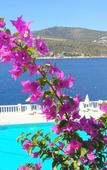 Туры в отель Patara Prince Hotel & Resort Туры в отель Patara Prince Hotel & Resort