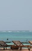 Туры в отель Albatross Ocean View Туры в отель Albatross Ocean View
