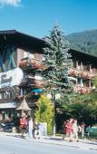 Туры в отель Edelweiss Туры в отель Edelweiss