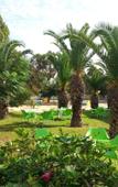 Туры в отель Eden Club Туры в отель Eden Club