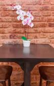Туры в отель Balat Residence Туры в отель Balat Residence