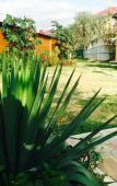 Туры в отель Holiday Park Olimp Туры в отель Holiday Park Olimp