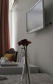 Туры в отель Puffin Suites & Hostel Туры в отель Puffin Suites & Hostel