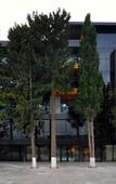 Туры в отель Jazz Hotel Туры в отель Jazz Hotel