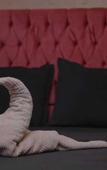 Туры в отель Castle Hotel Туры в отель Castle Hotel
