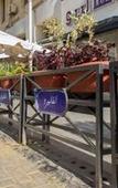 Туры в отель Paradise Boutique Hotel Туры в отель Paradise Boutique Hotel