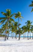 Туры в отель Hyatt Zilara Cap Cana Туры в отель Hyatt Zilara Cap Cana
