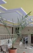Туры в отель Casanova Inn Туры в отель Casanova Inn