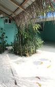 Туры в отель SeaLaVie Inn Туры в отель SeaLaVie Inn