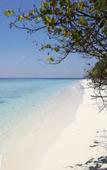Туры в отель SeaLaVie Inn Туры в отель SeaLaVie Inn