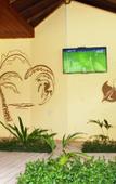 Туры в отель Kaafu Inn Туры в отель Kaafu Inn