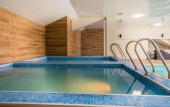 Туры в отель Bakuriani Inn Туры в отель Bakuriani Inn