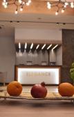 Туры в отель Hotel Elegance Туры в отель Hotel Elegance