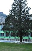 Туры в отель Anita Sunpark Beach Hotel Туры в отель Anita Sunpark Beach Hotel
