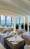 Туры в отель Sunscape Akumal Beach Resort & Spa Туры в отель Sunscape Akumal Beach Resort & Spa
