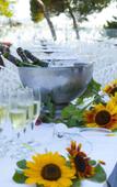 Туры в отель Pierre & Vacances Vistamar Туры в отель Pierre & Vacances Vistamar
