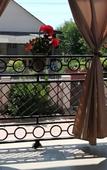Туры в отель Аурус Туры в отель Аурус