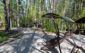 Туры в отель Заимка Лесника База Отдыха Туры в отель Заимка Лесника База Отдыха