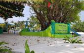 Туры в отель White Lagoon Fehendhoo Туры в отель White Lagoon Fehendhoo