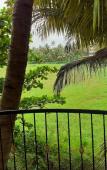 Туры в отель Country View Cottage Туры в отель Country View Cottage