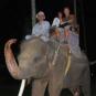 Туры в отель Elephant Safari Park Lodge, оператор Anex Tour