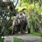 Туры в отель Elephant Safari Park Lodge, оператор Anex Tour