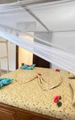 Туры в отель Avocado House Nungwi Туры в отель Avocado House Nungwi