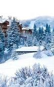 Туры в отель Elkhorn Lodge Туры в отель Elkhorn Lodge