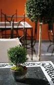 Туры в отель Ellington Hotel Туры в отель Ellington Hotel