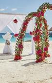 Туры в отель Hotel Riu Jambo Туры в отель Hotel Riu Jambo
