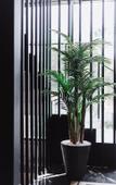 Туры в отель The LOFT Inn Туры в отель The LOFT Inn