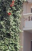 Туры в отель Emerald Hotel Туры в отель Emerald Hotel