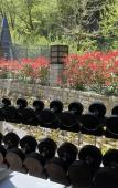 Туры в отель Soloh SPA Village (Солохаул) Туры в отель Soloh SPA Village (Солохаул)