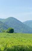 Туры в отель Soloh SPA Village (Солохаул) Туры в отель Soloh SPA Village (Солохаул)