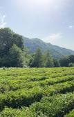 Туры в отель Soloh SPA Village (Солохаул) Туры в отель Soloh SPA Village (Солохаул)