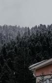 Туры в отель Dombay Winter Hall Туры в отель Dombay Winter Hall