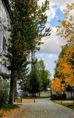 Туры в отель Форелька База отдыха Туры в отель Форелька База отдыха