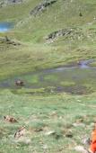 Туры в отель Encamp Hotel Туры в отель Encamp Hotel