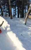 Туры в отель Лесная сказка Сибири (Пышма) Туры в отель Лесная сказка Сибири (Пышма)