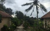 Туры в отель Thai Tan Tien Resort Туры в отель Thai Tan Tien Resort