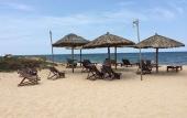 Туры в отель Thai Tan Tien Resort Туры в отель Thai Tan Tien Resort