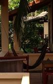 Туры в отель Thai Tan Tien Resort Туры в отель Thai Tan Tien Resort