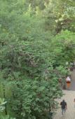 Туры в отель City Centre Hotel Туры в отель City Centre Hotel