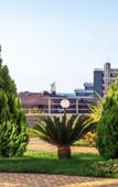 Туры в отель Bamboo Hostel Туры в отель Bamboo Hostel