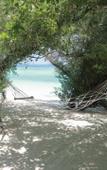 Туры в отель Eriyadu Island Resort Туры в отель Eriyadu Island Resort