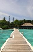 Туры в отель Eriyadu Island Resort Туры в отель Eriyadu Island Resort
