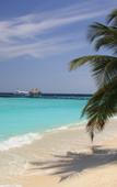 Туры в отель Eriyadu Island Resort Туры в отель Eriyadu Island Resort