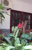 Туры в отель Navora Home Stay Туры в отель Navora Home Stay
