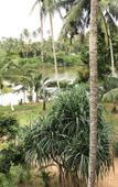 Туры в отель O2 Villas - Weligama Туры в отель O2 Villas - Weligama