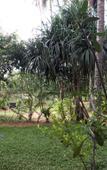 Туры в отель O2 Villas - Weligama Туры в отель O2 Villas - Weligama